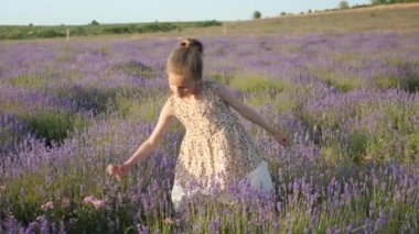 tatil yaz küçük kız. kırsal kesimde lavanta çiçekleri toplamak