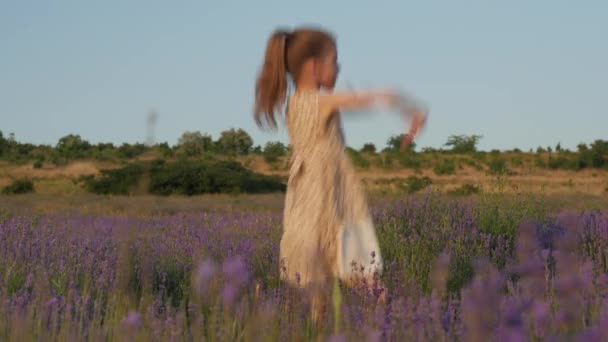 Wunderbare Kleine Mädchen Tanzen Während Der Sommerferien Natürliches Lavendelfeld Außerhalb — Stockvideo