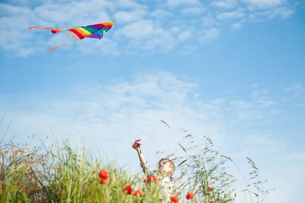 Pequeno caucasiano bonito menino entre flores de plantas segurando pipa colorida voando no céu azul na primavera — Fotografia de Stock