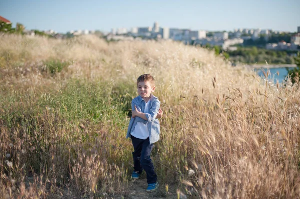 Grappige schattige kleine jongen grijnzende staande in het midden van een veld van planten in de zomer — Stockfoto