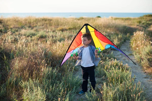 Dromerige schattige kleine jongen met kleurrijke kite achter zijn terug permanent in veld op zee horizon achtergrond — Stockfoto