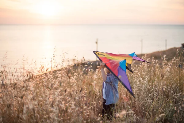 Ευτυχισμένη μικρό αγόρι με πολύχρωμα kite στέκεται σε ξηρό χώρο του χόρτου στην παραλία το ηλιοβασίλεμα το καλοκαίρι — Φωτογραφία Αρχείου