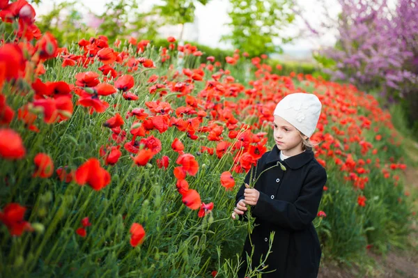 Beautiful french little girl in hat and coat tears red flowers on poppy field in early spring — Stock Photo, Image