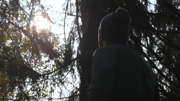 Masculino Olhar Para Sol Floresta Homem Adulto Foi Perdido Bosques — Vídeo de Stock