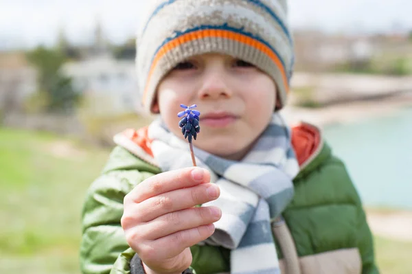 Prachtige kleine jongen in jas, sjaal en muts toont Muscari bloem die hij in zijn hand in het voorjaar houdt — Stockfoto