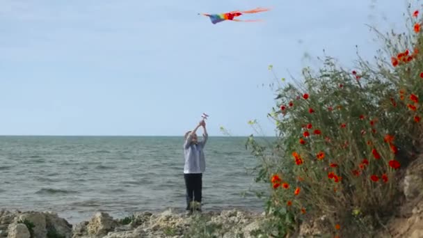 Frohe Sommerferien kleiner Junge. fliegende bunte Drachen am Strand — Stockvideo