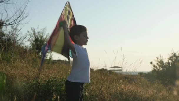 Счастливый мальчик играет с пестрым змеем на фоне летнего пейзажа — стоковое видео