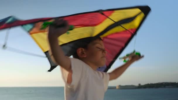 Игривый мальчик играет с пестрым воздушным змеем на берегу — стоковое видео