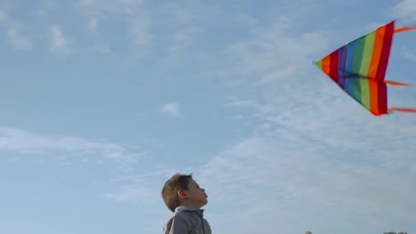 Alegre niño sosteniendo volando colorido cometa capturas viento ráfagas — Vídeos de Stock