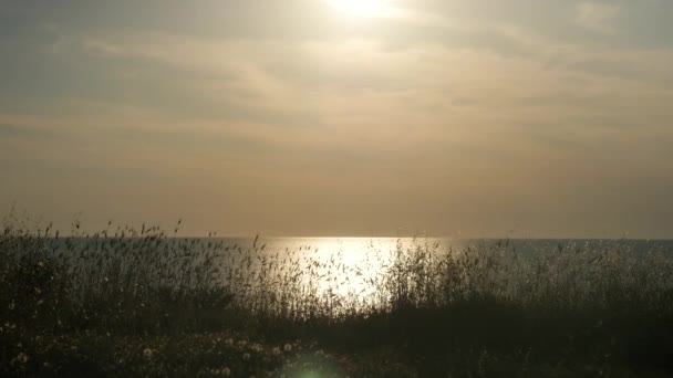 海岸に夏の夕日。彼の手を頭上でカラフルな凧と太陽に向かって実行している小さな男の子 — ストック動画