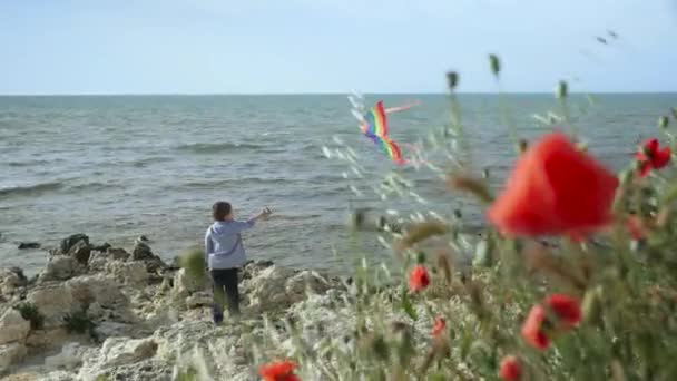 Bambino in piedi sulla spiaggia a giocare aquilone giocattolo volare in cielo. papavero rosso — Video Stock