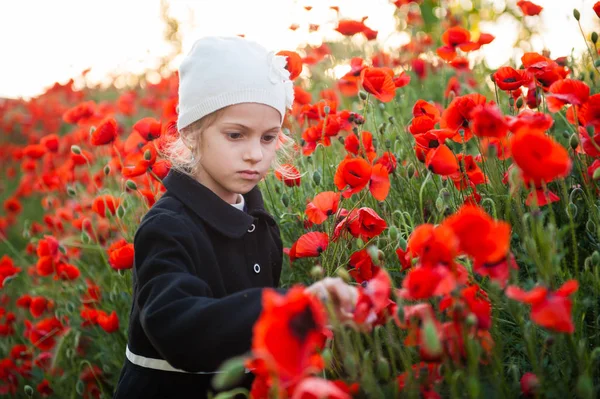 Linda niña en abrigo y sombrero rasgando flores de amapolas en campo de flores de primavera —  Fotos de Stock