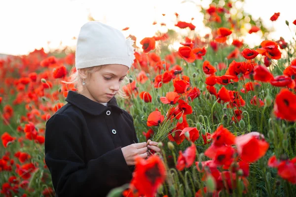 Graziosa bambina in cappello e cappotto con mazzo di papaveri in piedi tra i campi fioriti in primavera — Foto Stock