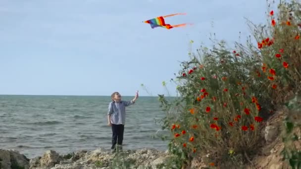 假期幸运的小男孩 多彩多姿的条纹风筝在海滩上蓝天飞翔 风游戏娱乐为年轻的孩子 — 图库视频影像