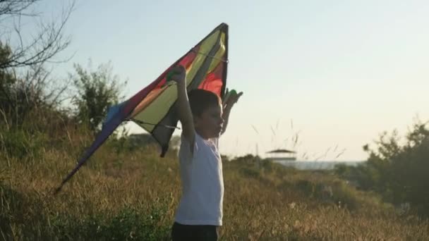 心の気持ち感情状態 夏の風景の背景にカラフルな凧で遊んで喜んでいる子供男の子 — ストック動画