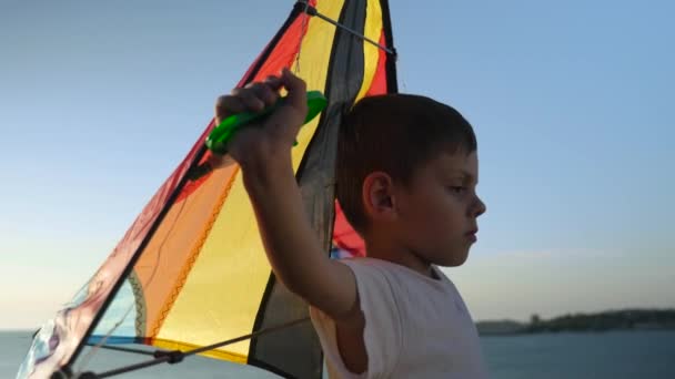 Детское Развлечение Красочным Воздушным Змеем Берегу Моря — стоковое видео