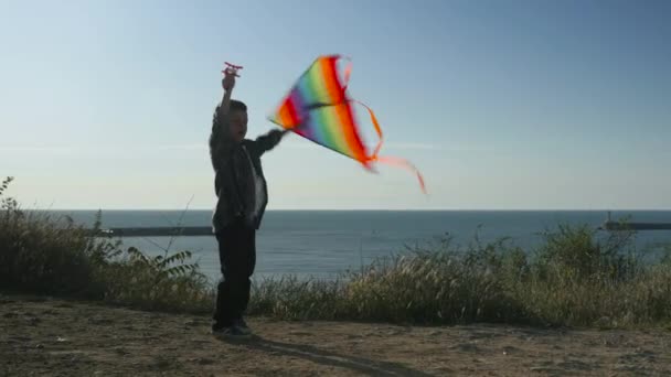 Children Educational Games Playful Small Boy Flying Colorful Kite Beach — Stock Video