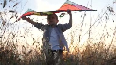 Çimlerin arasında duran güzel bir çocuk oyuncak uçurtma başının üzerinde tutan ve yamaç paraşütü bu sinekler temsil eder. Uçuş hayalini kavramı