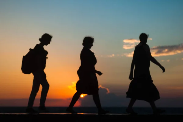 Trois femelles adultes marchant le long de la côte au coucher du soleil — Photo