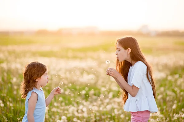 Two Beautiful Little Girls Stand Summer Field Holding Dandelions Blowing — Stock Photo, Image