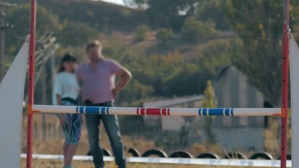 Gran Perro Raza Collie Salta Sobre Barrera Competencia Perro Pastor — Vídeos de Stock