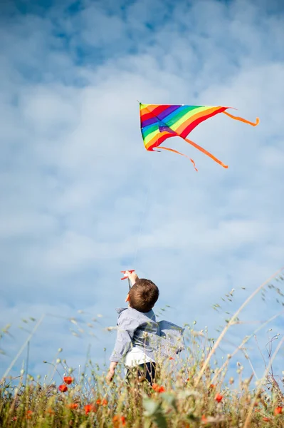 Concept de liberté de petit enfant caucasien actif en chemise tenant cerf-volant multicolore dans l'air debout parmi le champ de fleurs au coucher du soleil d'été — Photo