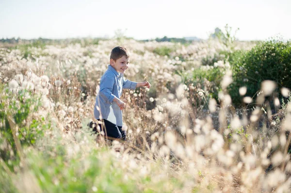여름 들판의 마른 풀 과푸른 잔디 사이를 뛰어다니는 행복 한 미소짓는 작은 아이 — 스톡 사진