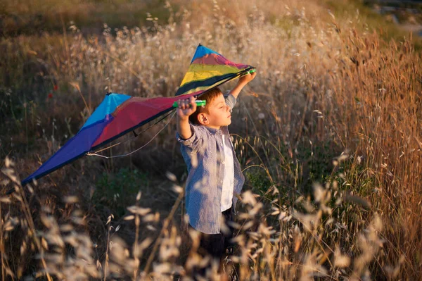 Dreaming about fly cute little child with colorful kite in hands with closed eyes among yellow grass in summer on warm sunset — Stock Photo, Image