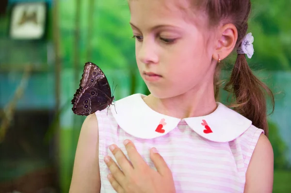 Petite Fille Avec Gros Papillon Sur Son Épaule — Photo