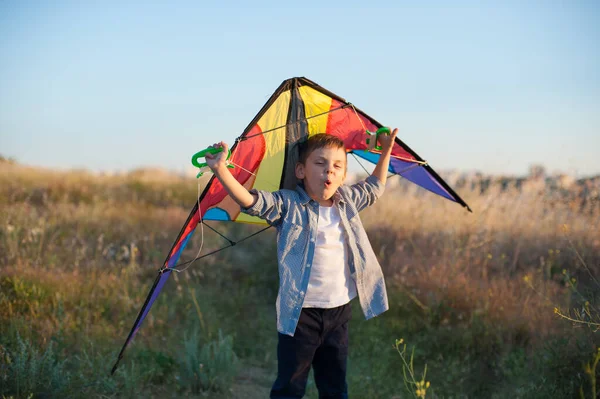 Grappig Actieve Jongen Met Grimas Zijn Gezicht Houden Vlieger Outdoor — Stockfoto