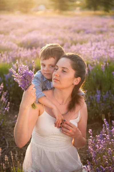 Feliz familia caucásica lindo niño abrazando a su joven hermosa madre con ramo de lavanda en el campo de flores de verano —  Fotos de Stock