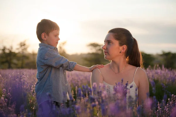 Relación cuestión concepto lindo niño tocar a su madre joven lastimada pidiendo perdón y pedir disculpas al aire libre flor de verano lavanda campo de ocio —  Fotos de Stock