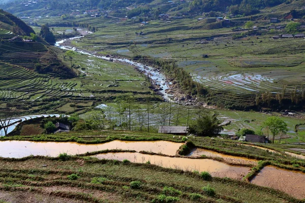 Terrace rice fields — Stock Photo, Image