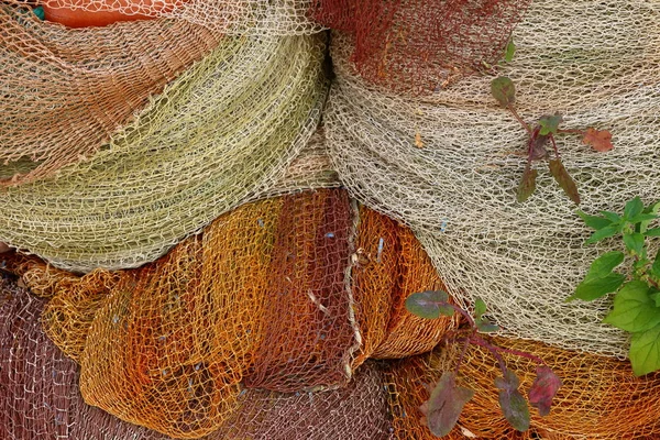 Renkli balık net — Stok fotoğraf