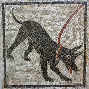 Cave Canem Mozaik, Pompeii