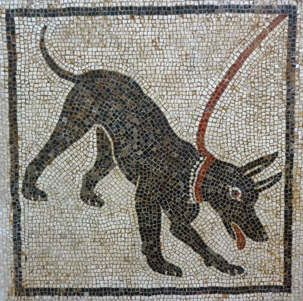 Cave Canem Mozaik, Pompeii