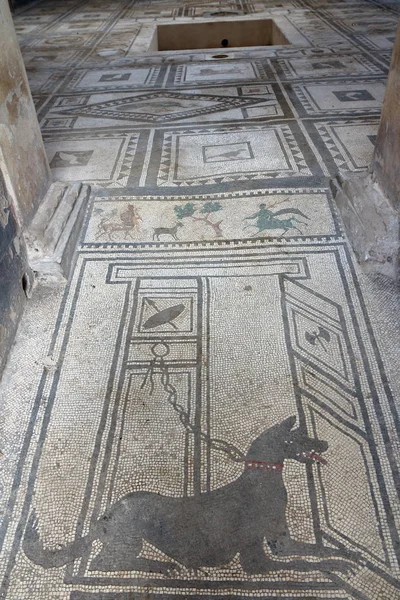 Mozaik, Pompeii sit alanı, Antik Roma kenti M.ö. 79 Vezüv Yanardağı ve patlama tarafından yok..