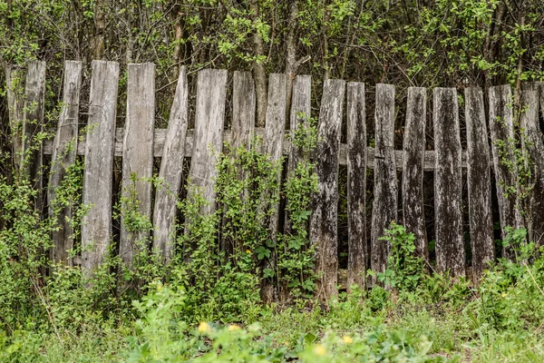 Wooden rotting old fence in the village