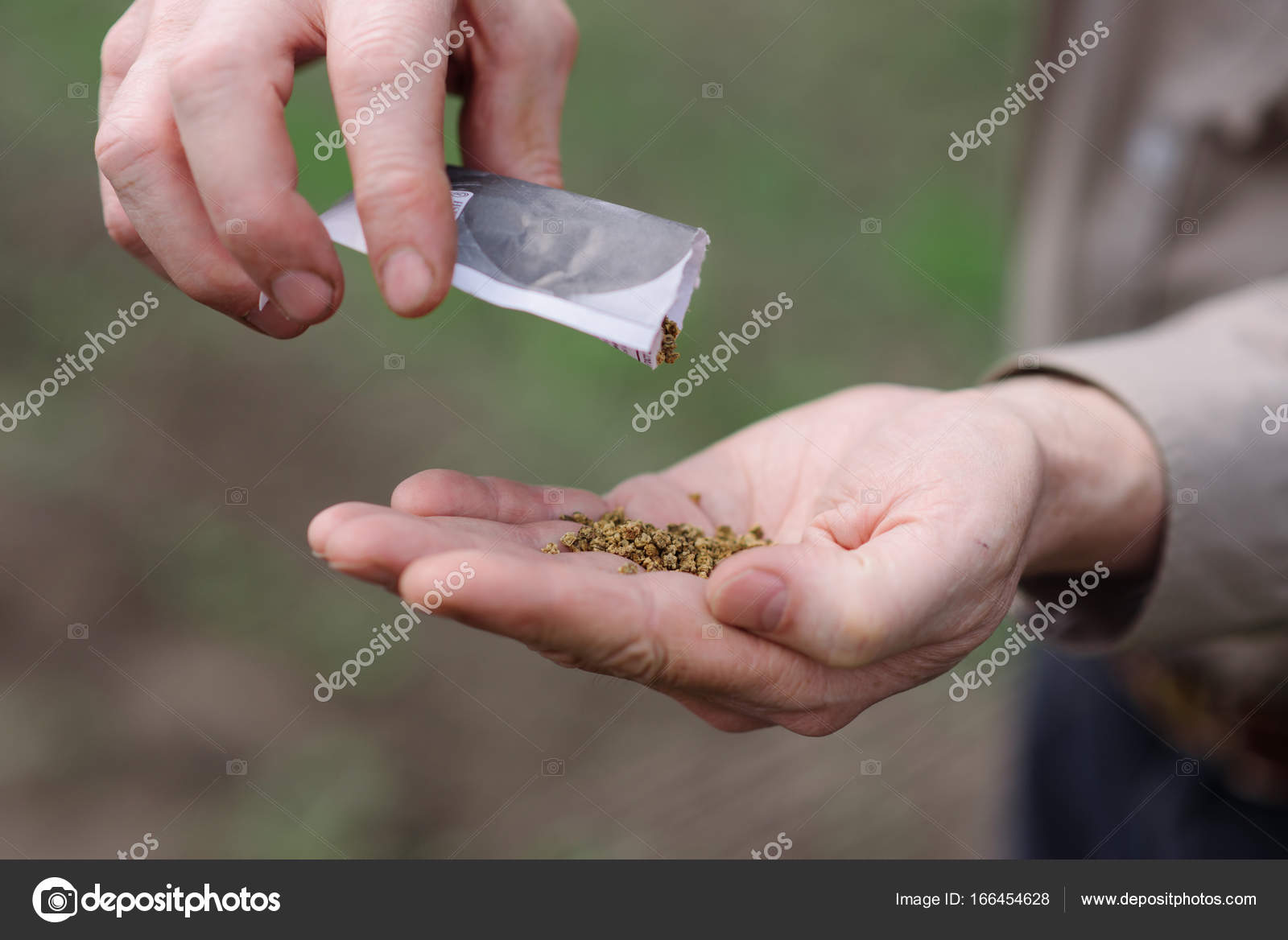 сыпать семечки. семена в руке. семена подсолнечника сорта крупноплодные. разбросанные зерна семян. рука сыпет семена.