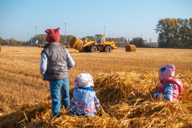 Üç çocuk bir haystack üzerinde oturuyor. O saman toplar gibi traktör izleyin.