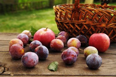 Yaz natürmort bahçede.