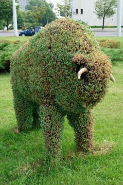 Sokaklarda, kasabada