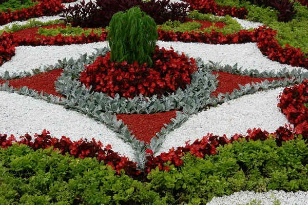 Parque Ciudad Con Cama Flores — Foto de Stock