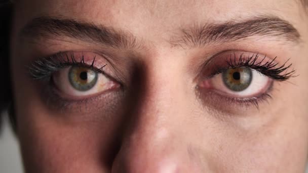 Close-up occhi di bella giovane donna modello guardando la fotocamera. Ragazza con grandi occhi verdi. 4k — Video Stock