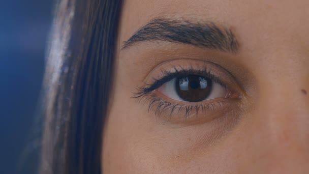 Feche acima de olhos bonitos marrom da menina. 4k — Vídeo de Stock