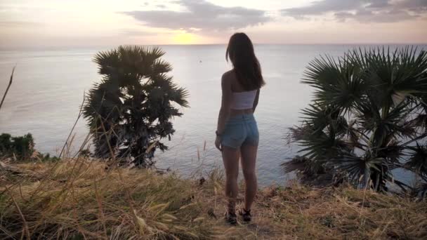 Πορτραίτο ενός κοριτσιού που στέκεται πάνω από ένα βράχο και κοιτάζει τον ωκεανό. Τα μαλλιά της είναι άνεμος. φόντο ηλιοβασιλέματος 4k — Αρχείο Βίντεο