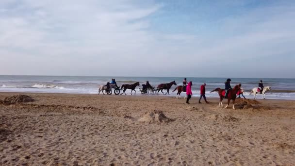 Powozy Konie Jeżdżące Plaży Morzu Słonecznym Jesiennym Świetle — Wideo stockowe