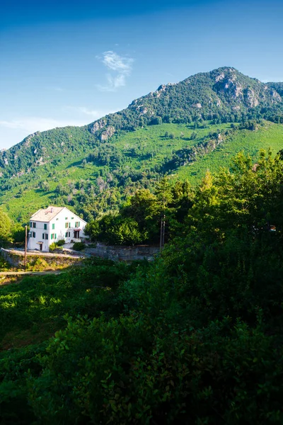 Θέα Ένα Λευκό Σπίτι Στο Moutnains Στο Νησί Της Κορσικής — Φωτογραφία Αρχείου