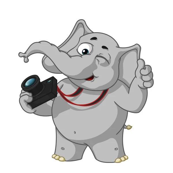 Büyük koleksiyon vektör çizgi film karakterleri izole bir arka plan üzerinde fil. Fotoğrafçı winks