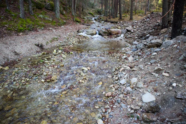 Küçük dağ nehri
